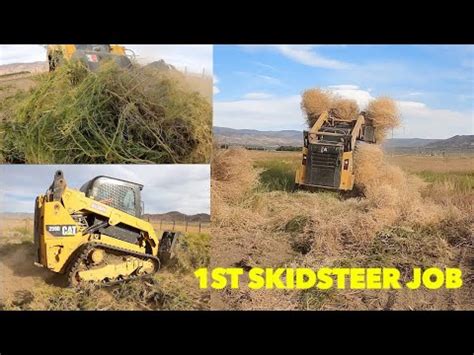 skid steer work wanted|skid steer jobs near me.